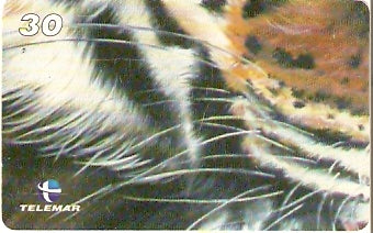 RJ-1328 - Tigre - 07/10