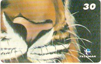 RJ-1329 - Tigre - 08/10