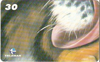 RJ-1330 - Tigre - 09/10