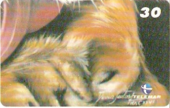 RJ-1331 - Tigre - 10/10