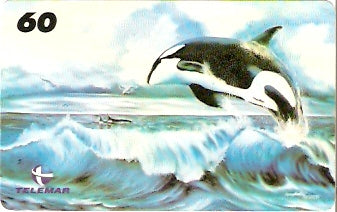 RJ-1333 - Diana Santos - 02