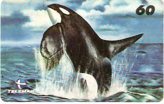 RJ-1334 - Diana Santos - 03