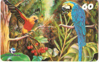 RJ-1342 - Diana Santos - 11