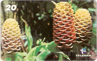 RJ-1421 - Natureza - B4