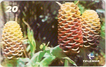 RJ-1423 - Natureza - B6