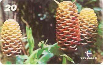 RJ-1419 - Natureza - B2