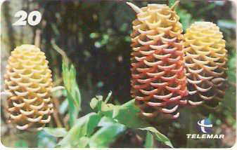 RJ-1420 - Natureza - B3