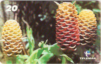 RJ-1422 - Natureza - B5