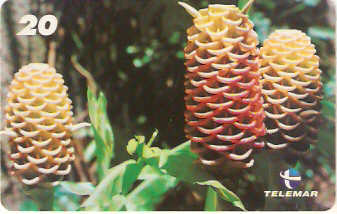 RJ-1424 - Natureza - B7