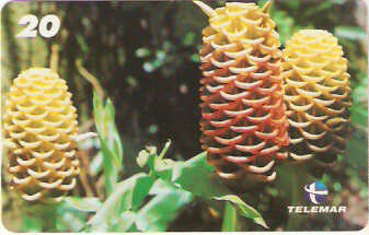 RJ-1425 - Natureza - B8