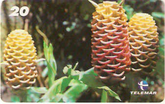 RJ-1428 - Natureza - B11