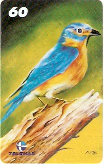 RJ-1465 - Diana Santos - 3