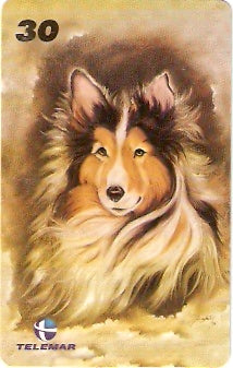 RJ-1466 - Diana Santos - 4