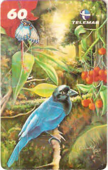 RJ-1467 - Diana Santos - 5