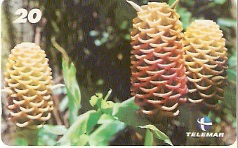 RJ-1585 - Natureza - B14