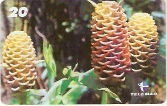 RJ-1580 - Natureza - B2