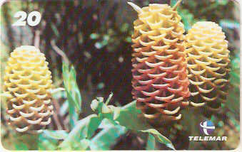 RJ-1581 - Natureza - B3