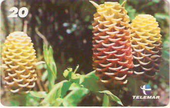 RJ-1582 - Natureza - B3