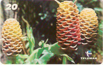 RJ-1583 - Natureza - B12