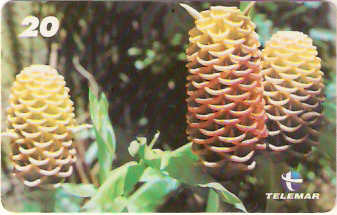 RJ-1584 - Natureza - B13