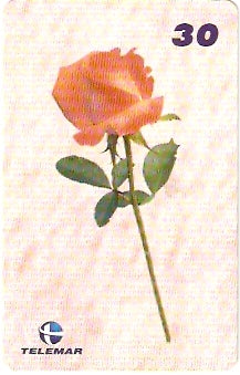 RJ-1739 - Dia das Mães