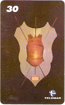 RJ-1755 - Sala de Armas - 4/6