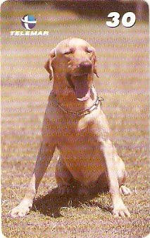 RJ-1760 - Polícia Militar - 1/4