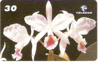 RJ-1798 - Orquídeas - 09/10