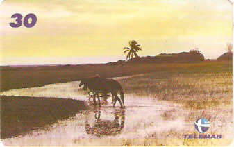 RJ-1818 - Caminhos de Jurubatiba - 1