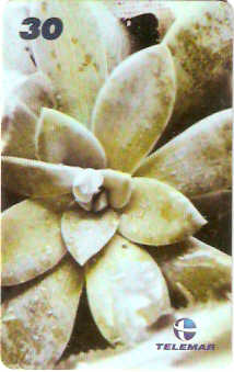 RJ-1882 - Jardins - 2/4