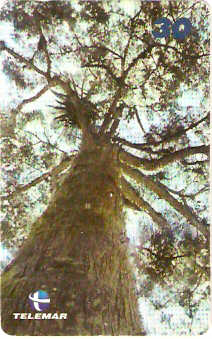 RJ-1883 - Jardins - 3/4