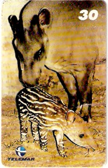 RJ-1011 - Baby Zoo - 1/8