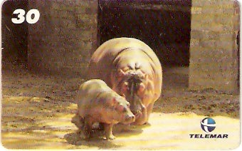 RJ-1012 - Baby Zoo - 2/8