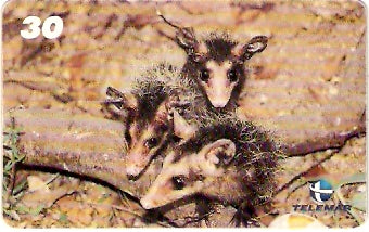 RJ-1013 - Baby Zoo - 3/8