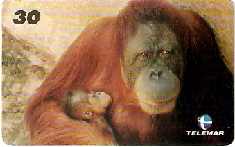 RJ-1015 - Baby Zoo - 5/8