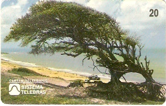 RN-009 - Cabo de São Roque