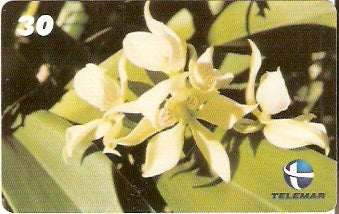 RN-105 - Anacheilion Fragans