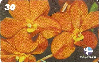 RN-126 - Orquídea