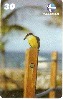 RN-205 - Bem-Te-Vi - I2