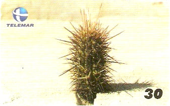 RN-208 - Série Cactos - I2