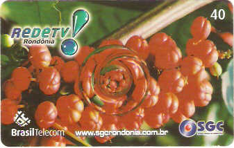 RO07-01 - Rede TV Cacau