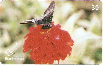 RO-184 - Flores - 1/3