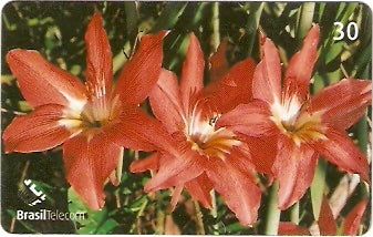 RO-196 - Flores - 2/3