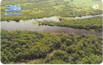 RO-250- Rede Amazônica - 2/8