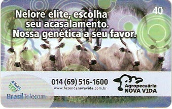 RO-276 - Nova Vida - 1