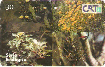 RS-0125 - Série Ecológica - 02/12