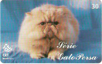 RS-0547 - Gato Persa - 1/5