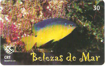 RS-0616 - Belezas do Mar - 01/10
