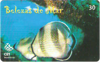 RS-0617 - Belezas do Mar - 02/10