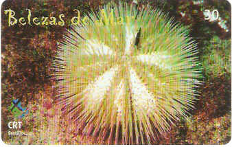 RS-0689 - Belezas do Mar - 10/10